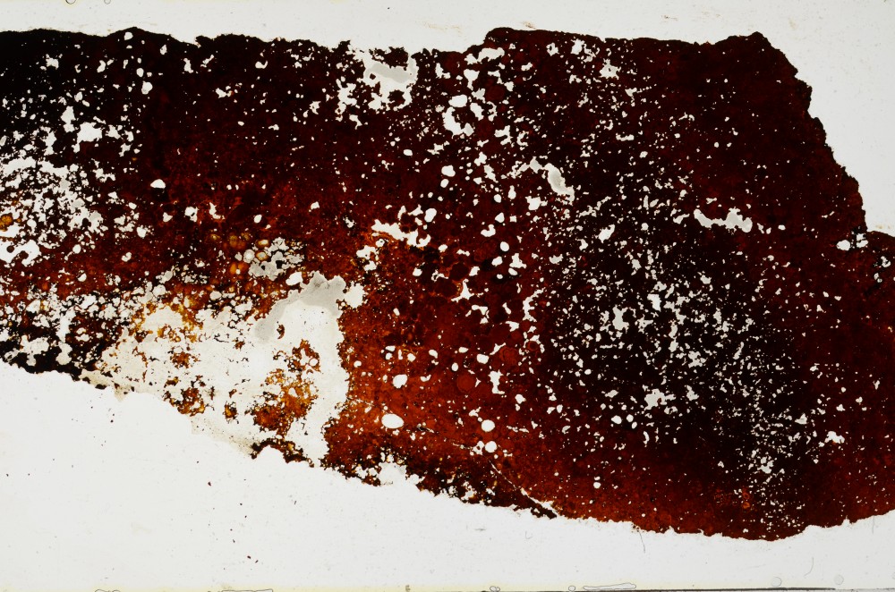 Plane Polarized, S68402