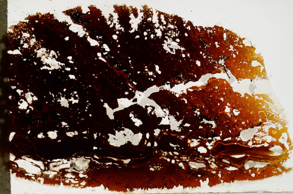 Plane Polarized, S68404