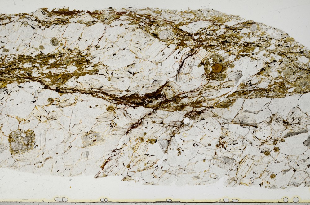 Plane Polarized, S68416