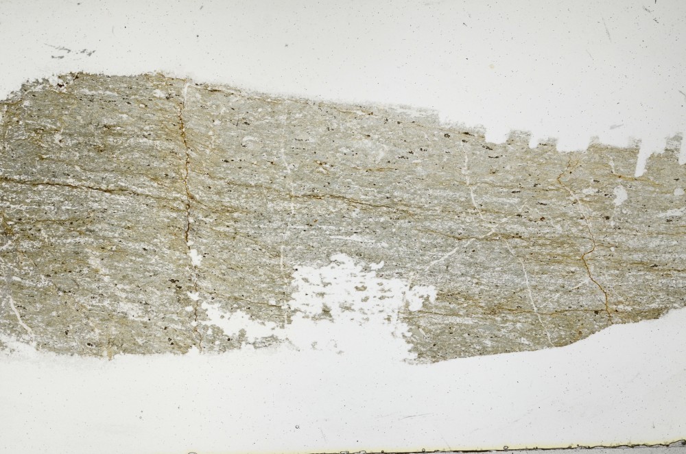 Plane Polarized, S68422