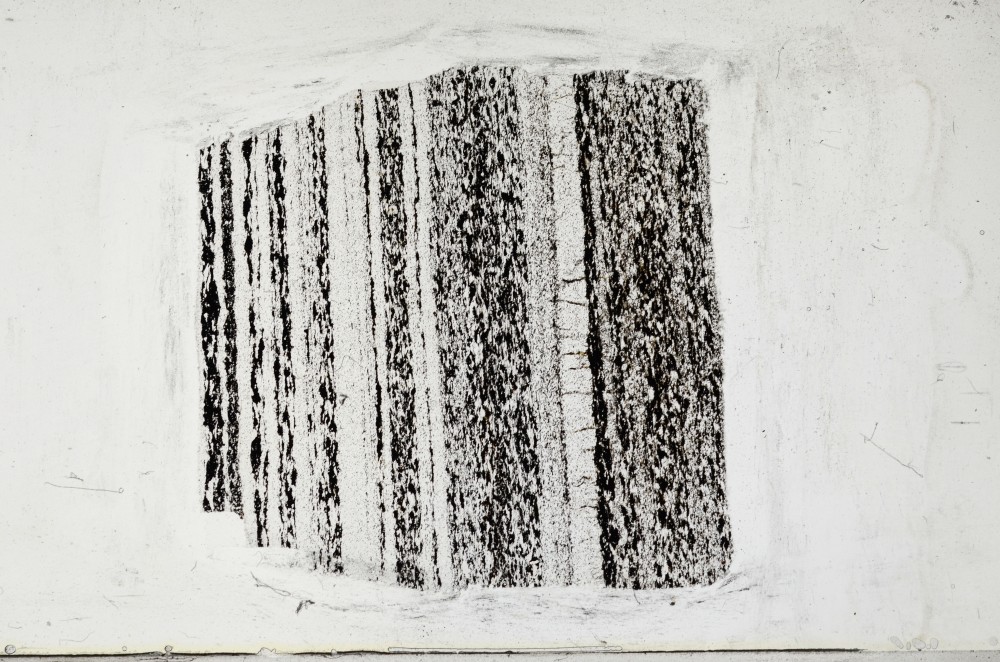 Plane Polarized, S68438