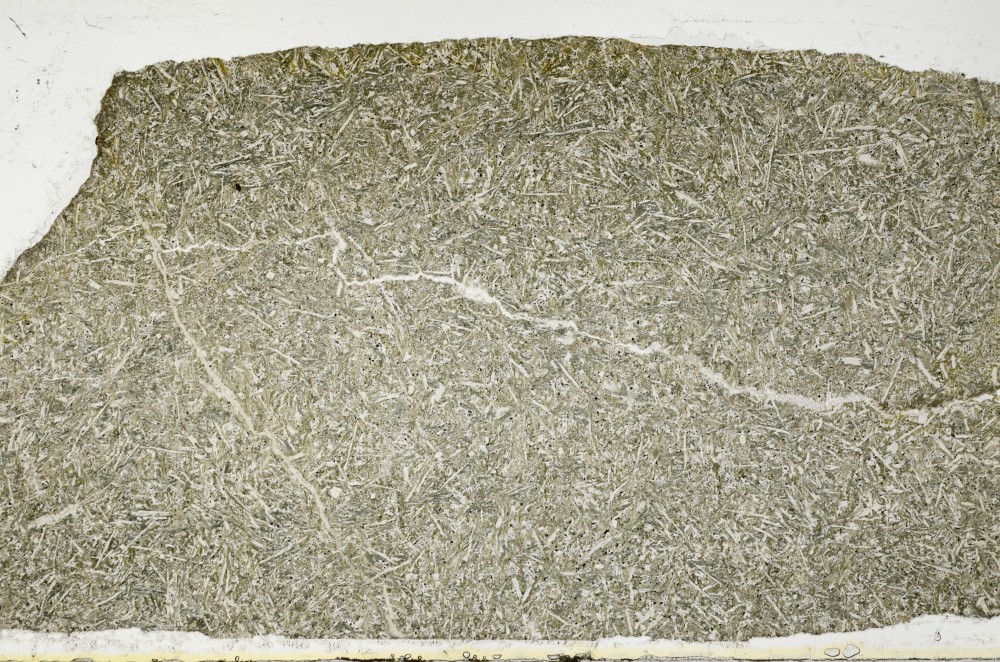 Plane Polarized, S68478