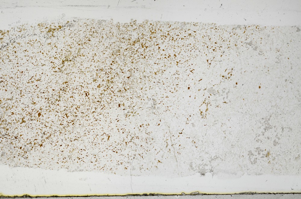 Plane Polarized, S68531