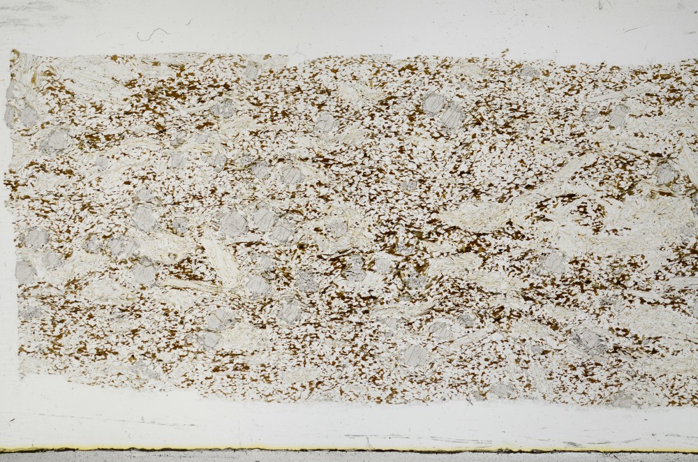 Plane Polarized, S68534