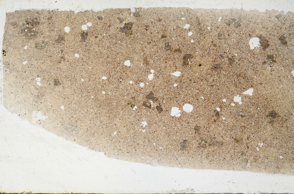 Plane Polarized, S68544