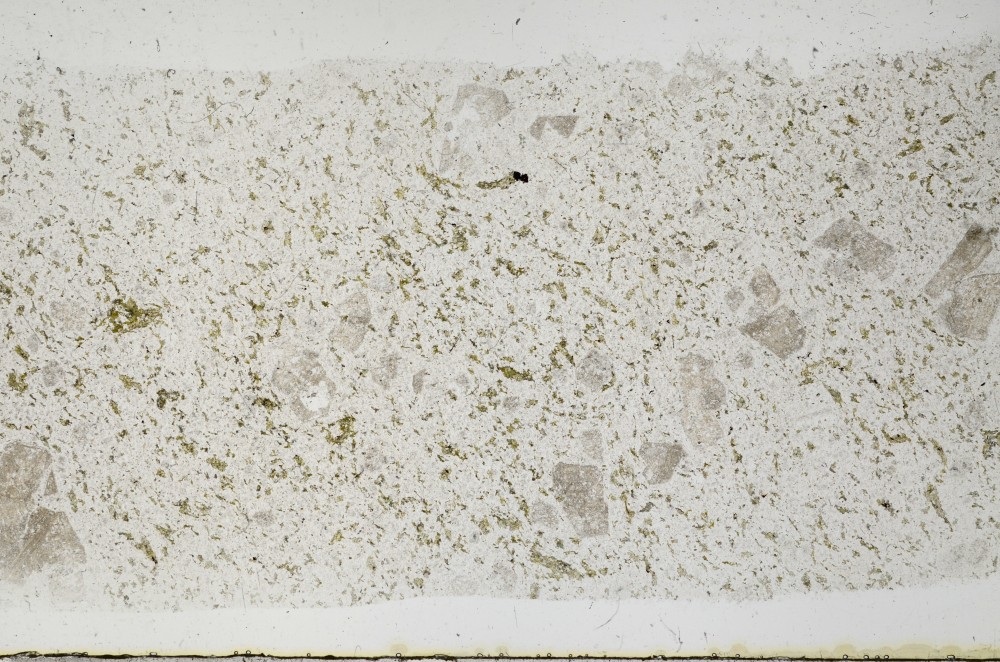 Plane Polarized, S68550