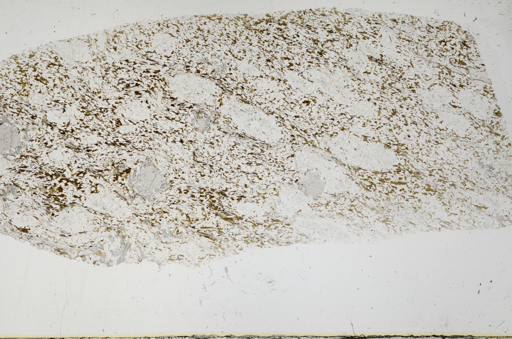 Plane Polarized, S68554
