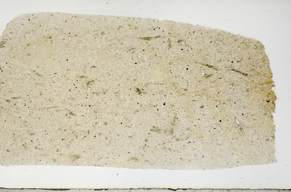 Plane Polarized, S68641