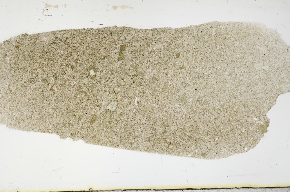 Plane Polarized, S68646