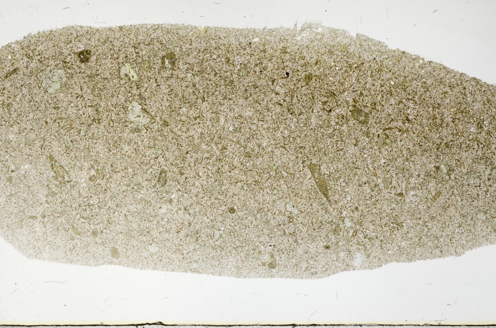 Plane Polarized, S68646/A