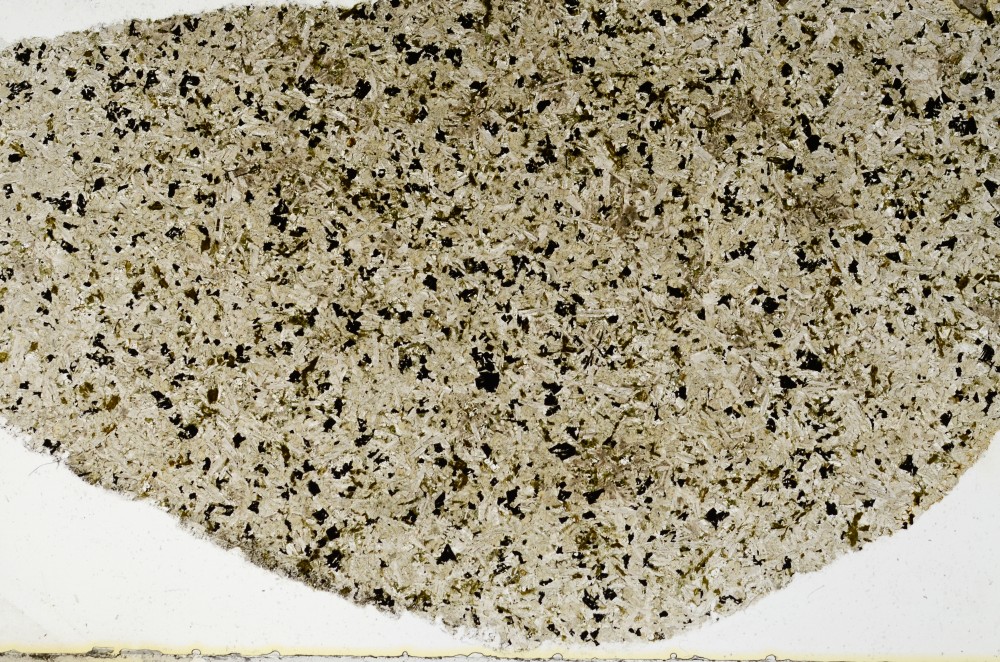 Plane Polarized, S68663/A