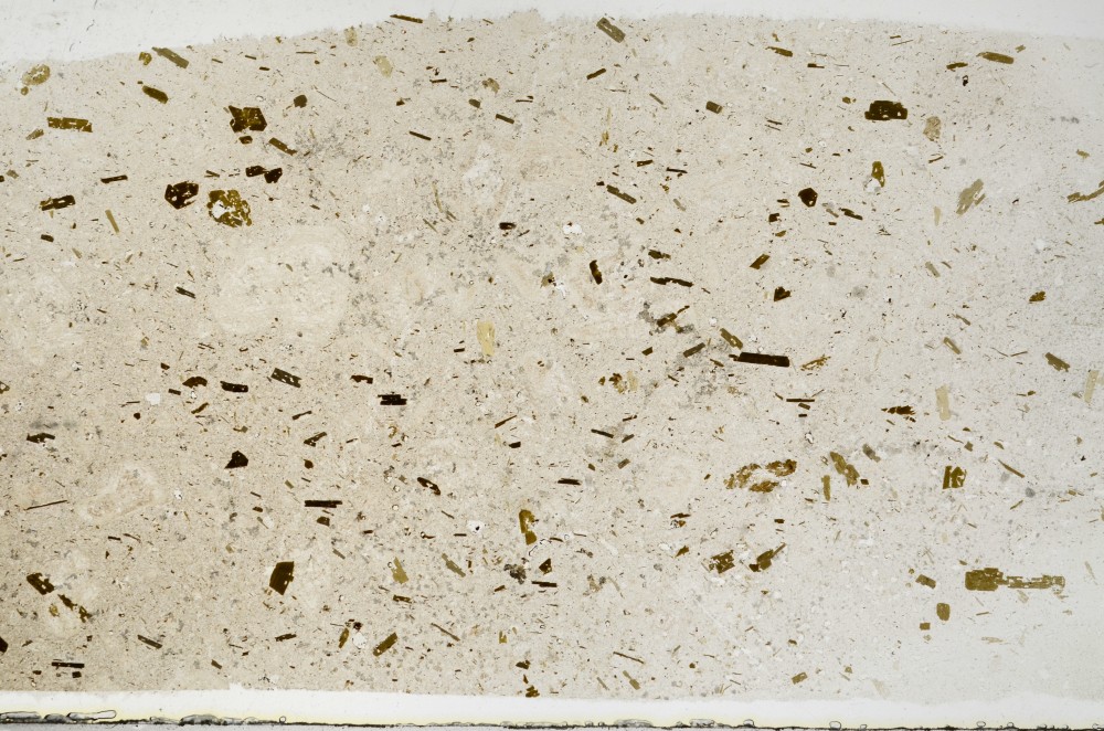 Plane Polarized, S68667