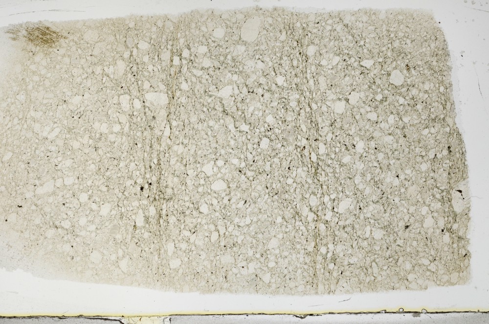 Plane Polarized, S68671
