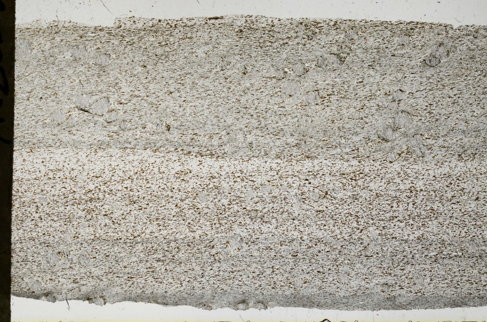 Plane Polarized, S68743