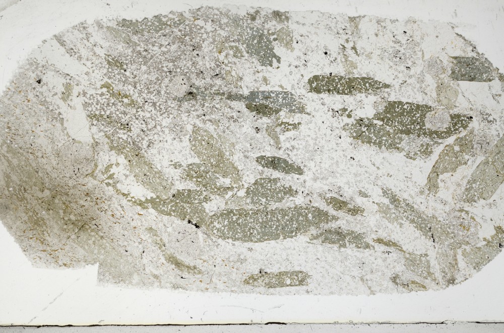 Plane Polarized, S68744