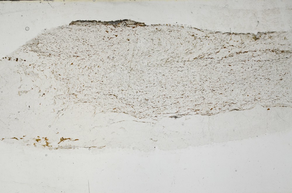 Plane Polarized, S68752