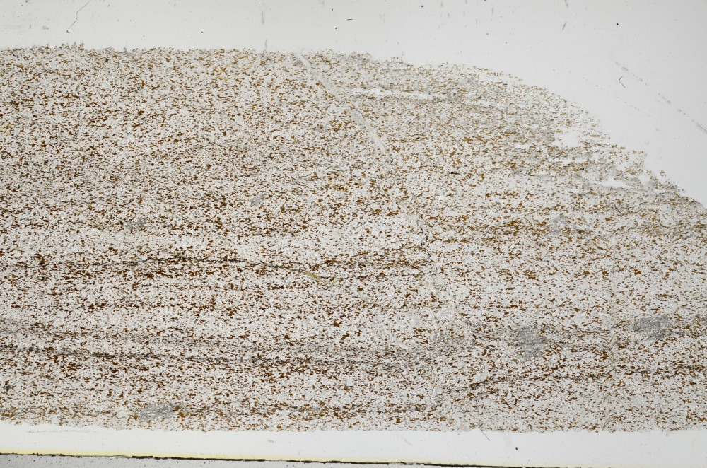 Plane Polarized, S68761
