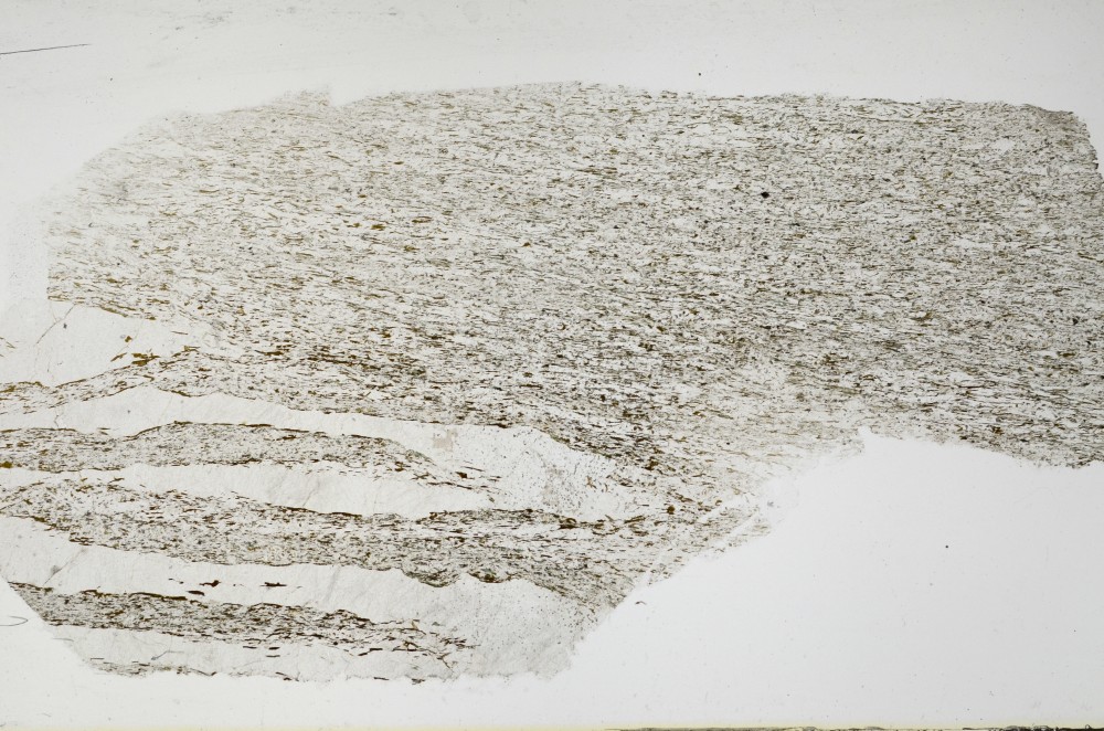 Plane Polarized, S68771