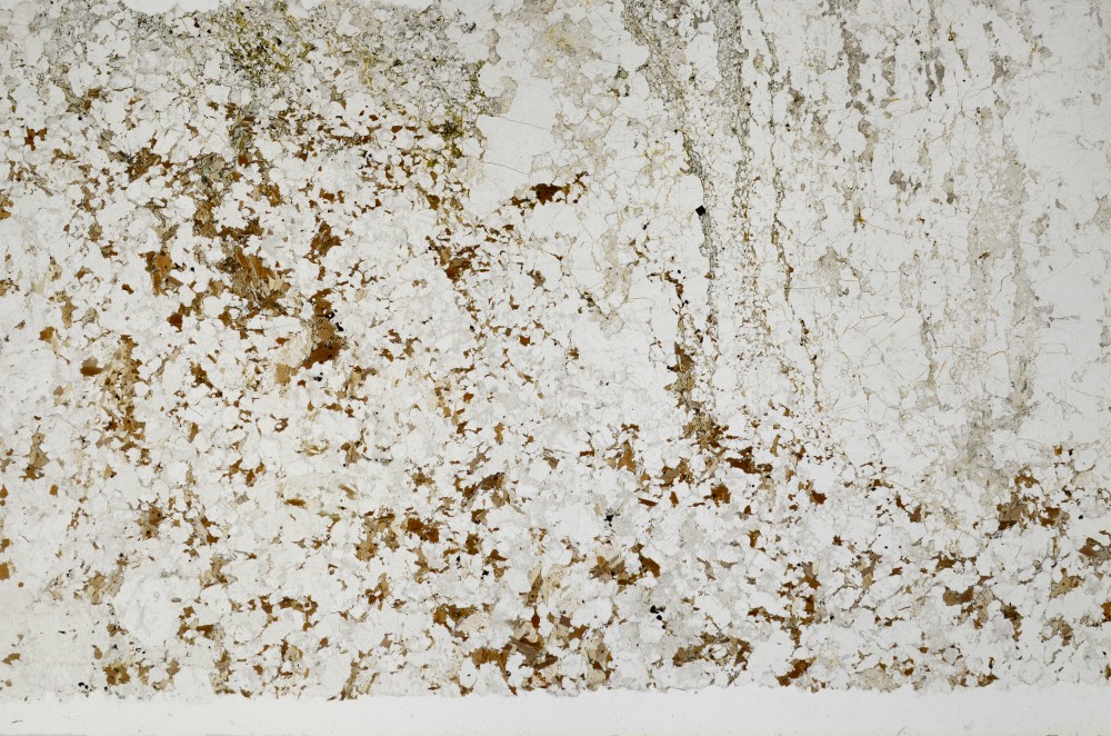 Plane Polarized, S68783