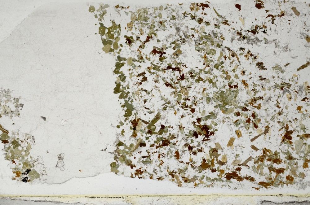 Plane Polarized, S68784