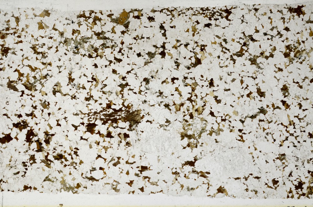 Plane Polarized, S68786