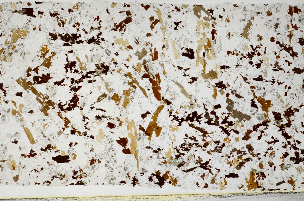 Plane Polarized, S68787