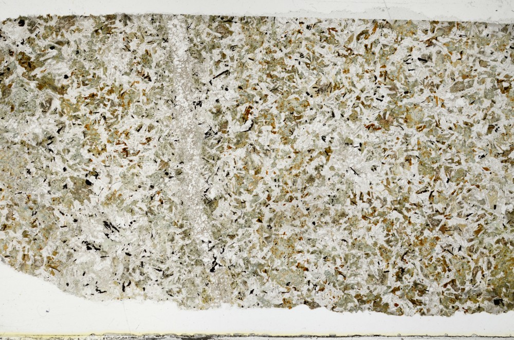 Plane Polarized, S68788