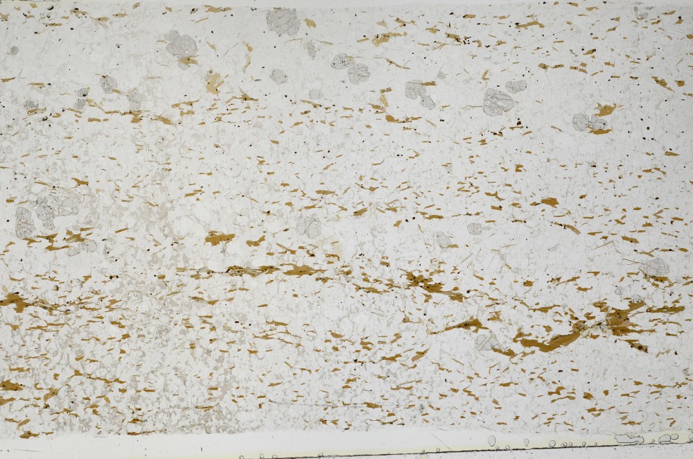 Plane Polarized, S68812