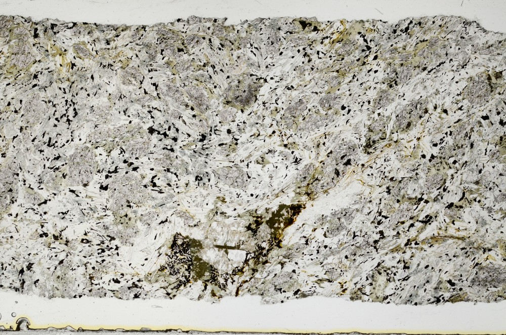 Plane Polarized, S68816