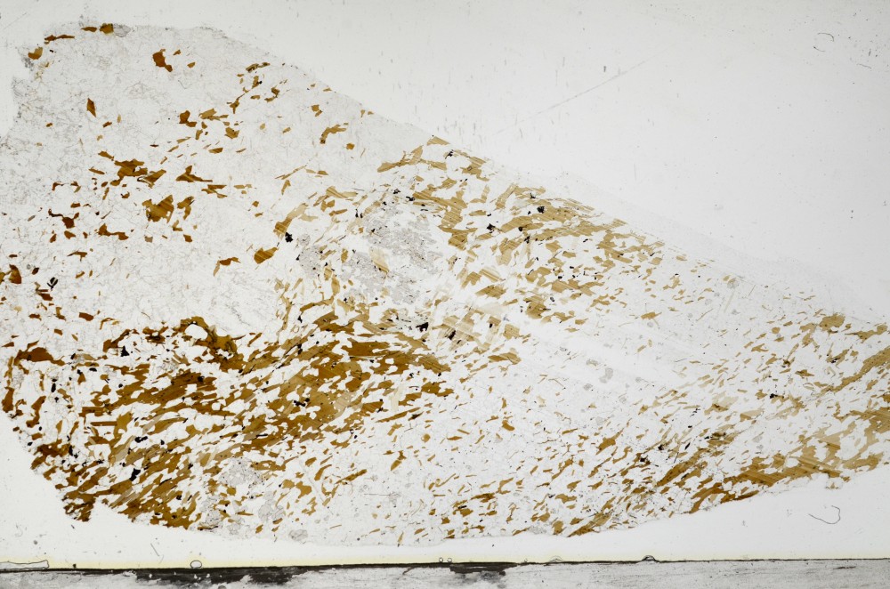 Plane Polarized, S68835