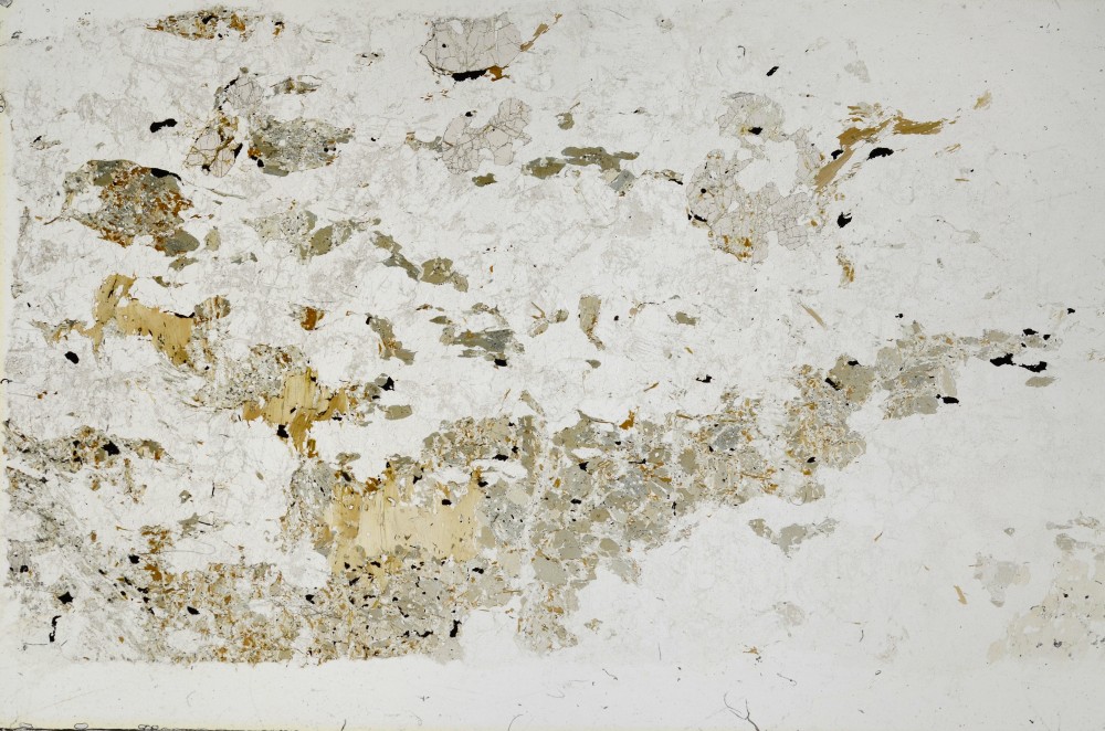 Plane Polarized, S68839