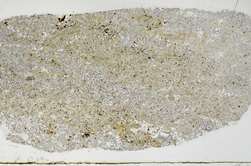 Plane Polarized, S68844