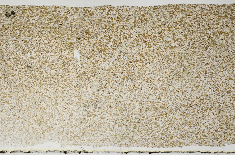 Plane Polarized, S68863