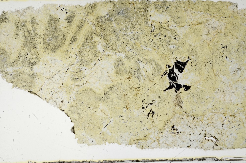 Plane Polarized, S68875