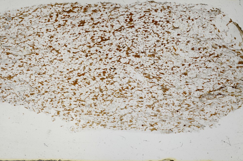 Plane Polarized, S68879