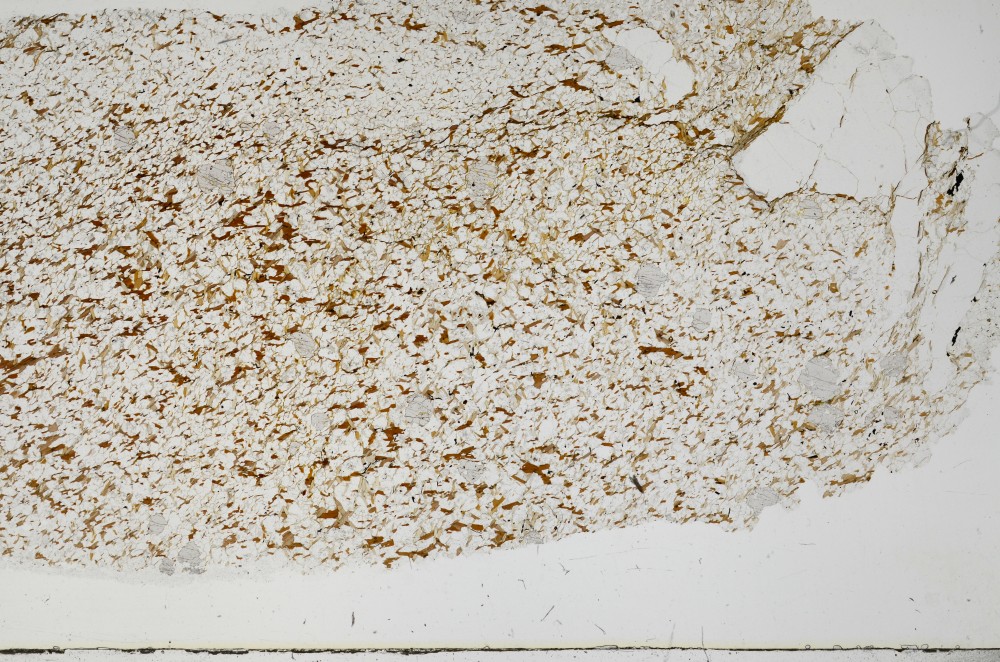 Plane Polarized, S68880