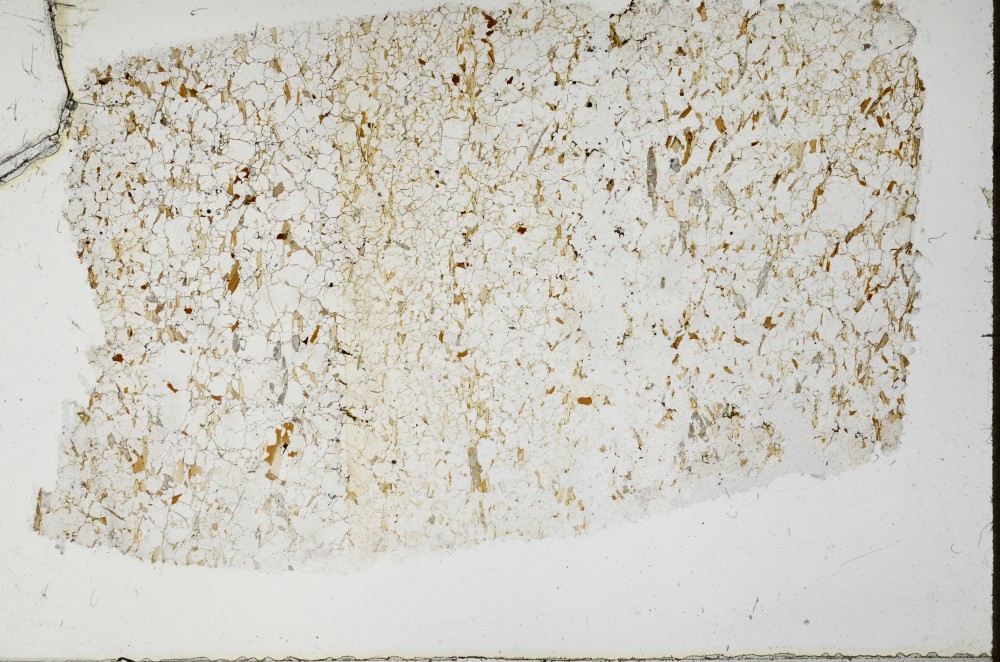 Plane Polarized, S68885