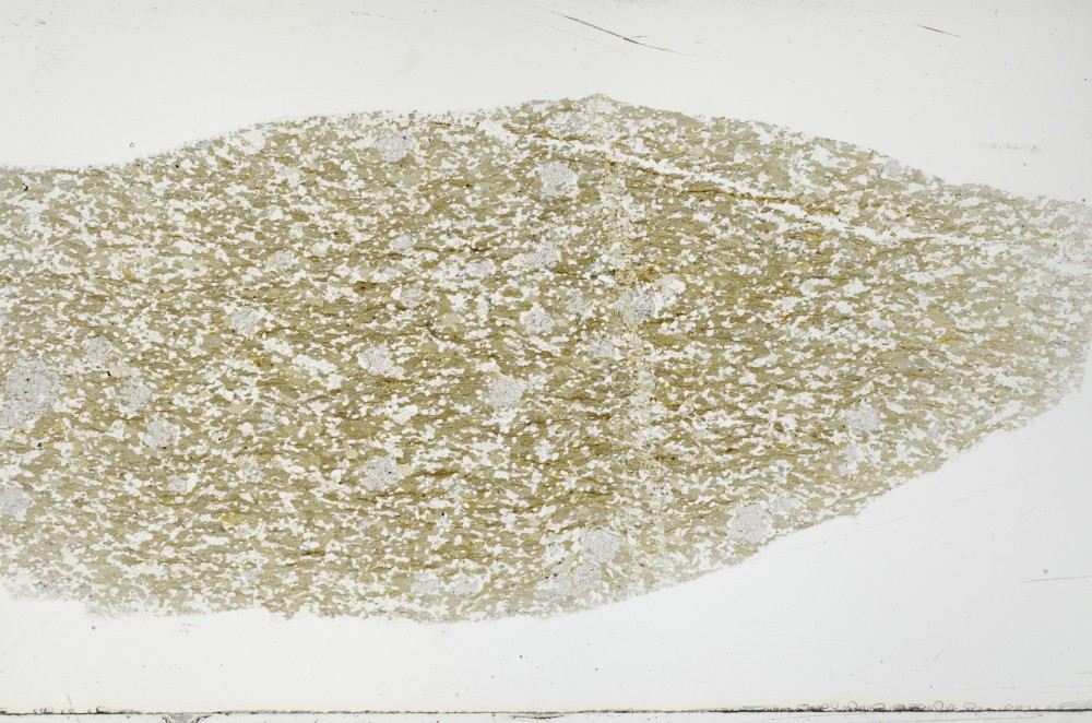 Plane Polarized, S68889