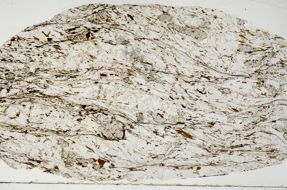 Plane Polarized, S68896