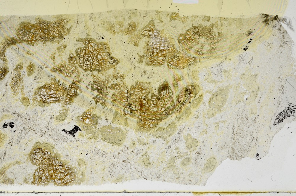 Plane Polarized, S68898