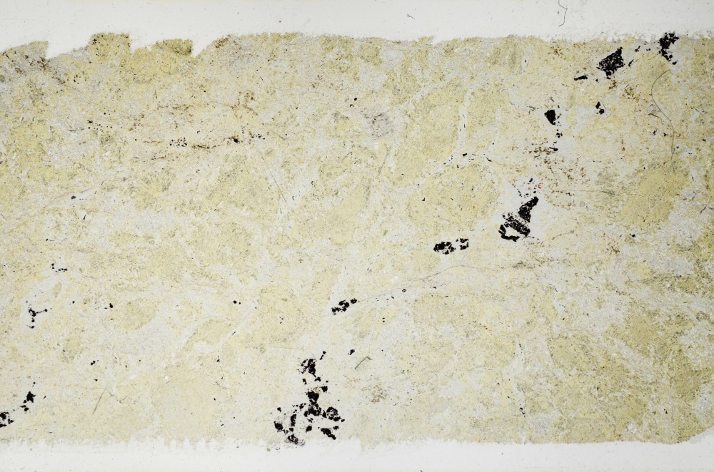 Plane Polarized, S68901