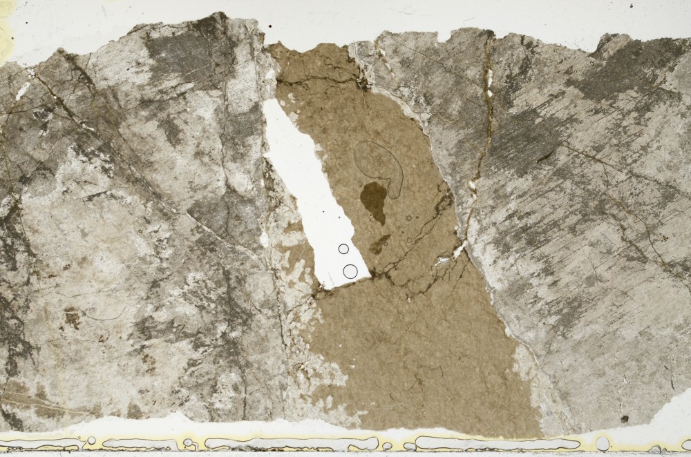 Plane Polarized, S68902