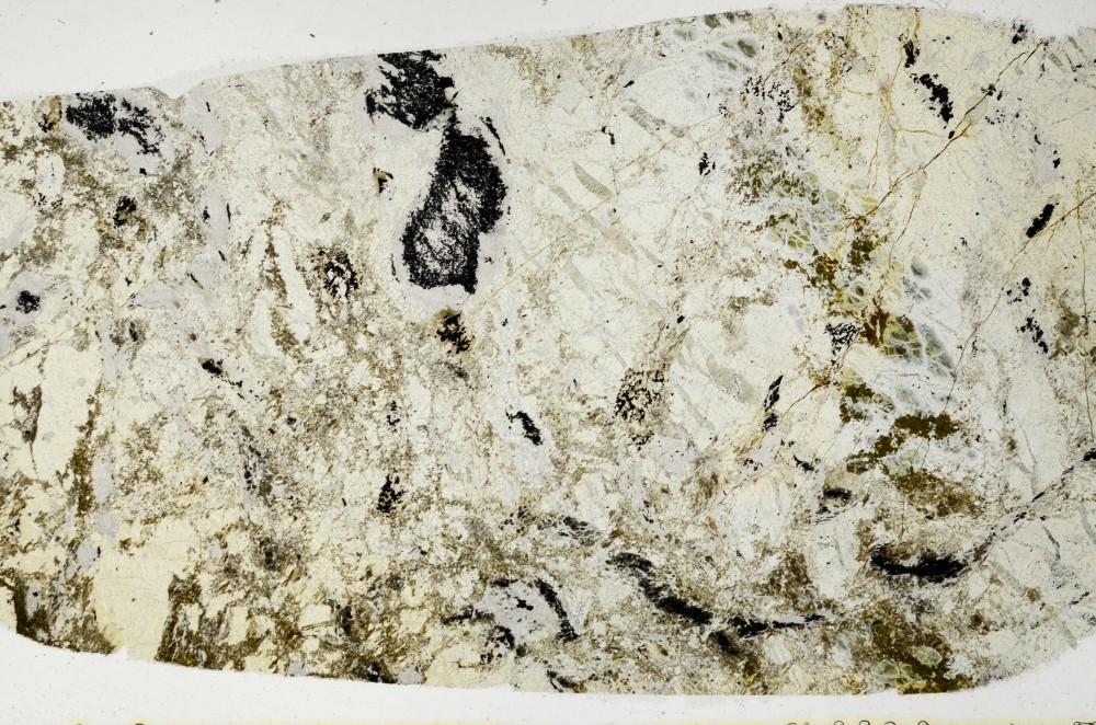 Plane Polarized, S68904
