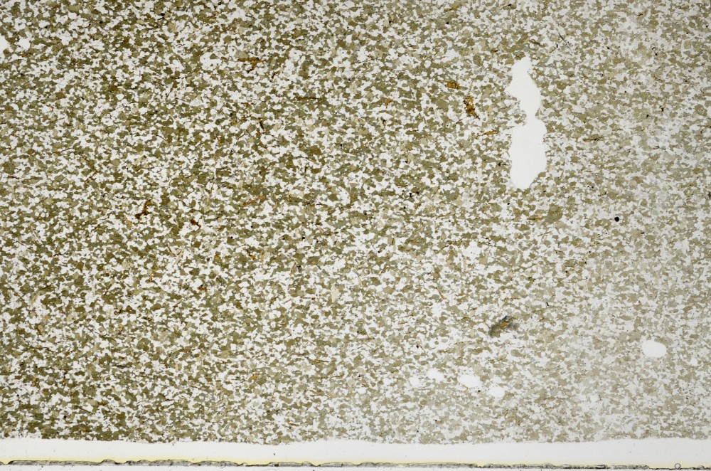 Plane Polarized, S68912