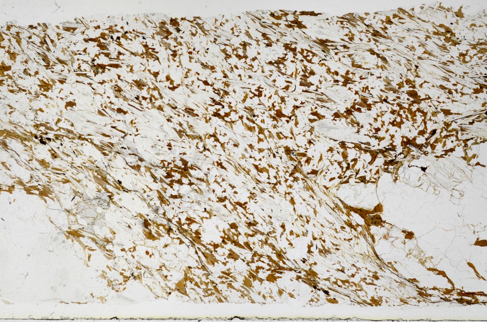 Plane Polarized, S68915