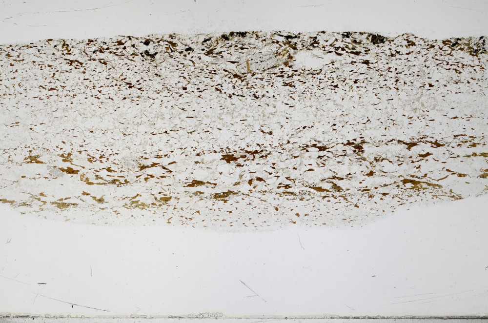 Plane Polarized, S68917