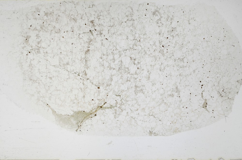 Plane Polarized, S68936