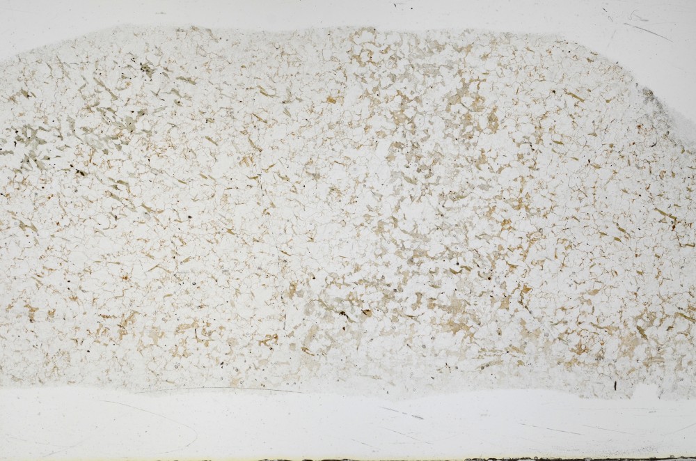 Plane Polarized, S68938