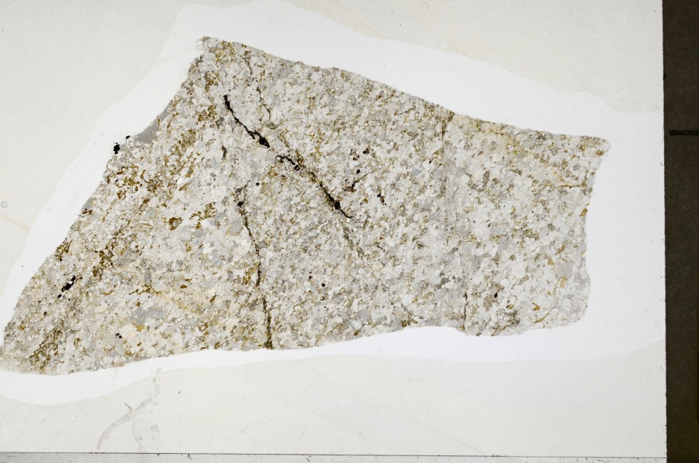 Plane Polarized, S68950/A