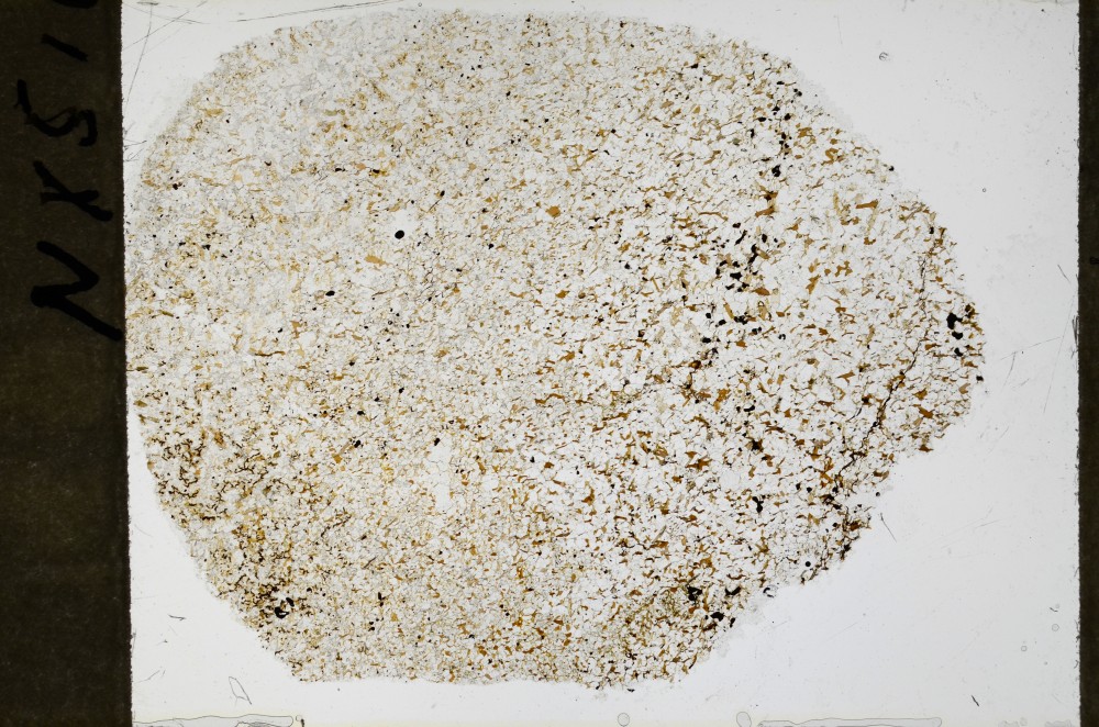 Plane Polarized, S68957